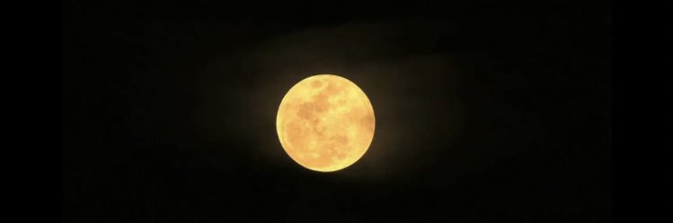 kanankennya's profile banner image