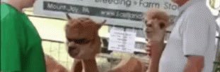 dinoslayah's profile banner image