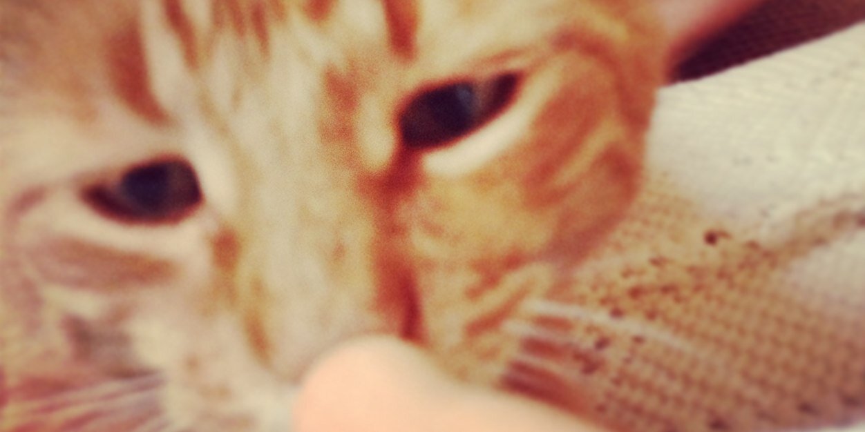 samcarroll11's profile banner image