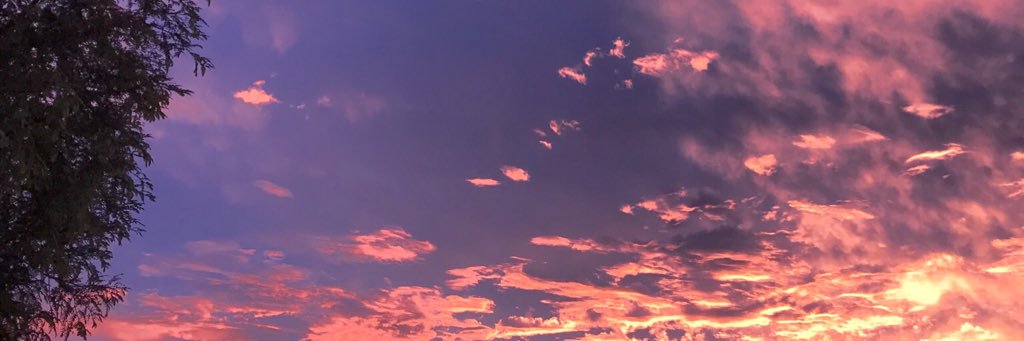 angethegiraffe's profile banner image