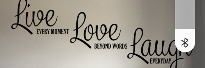 LadybirdFreedom's profile banner image
