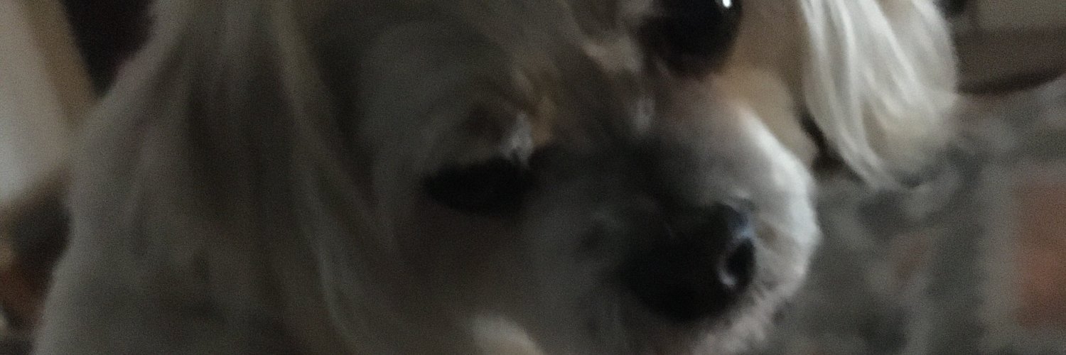 Traycelynntx's profile banner image