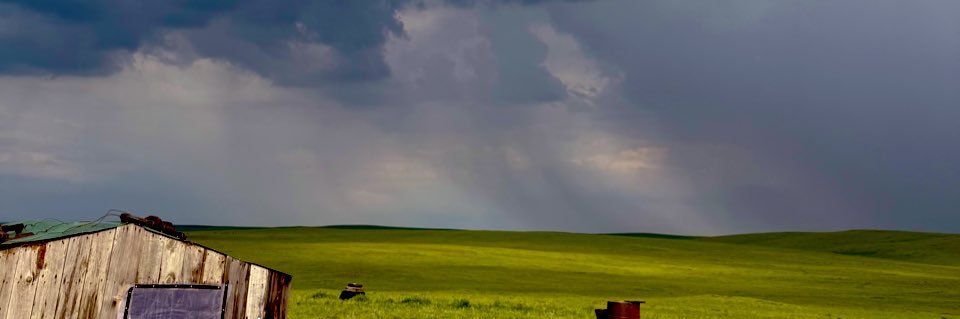 Ирваа's banner