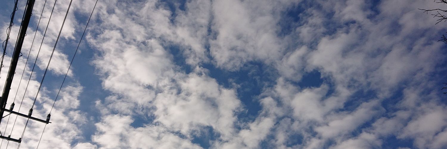雑草 banner