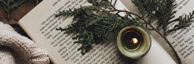 SaraAnn01's profile banner image