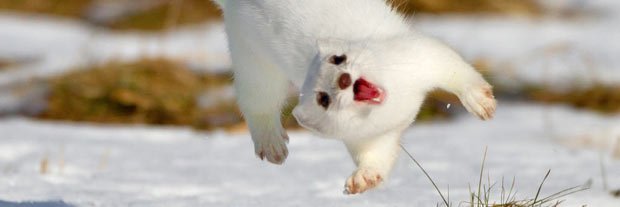 Rian O'Brien is 👻querying/drafting👻 banner