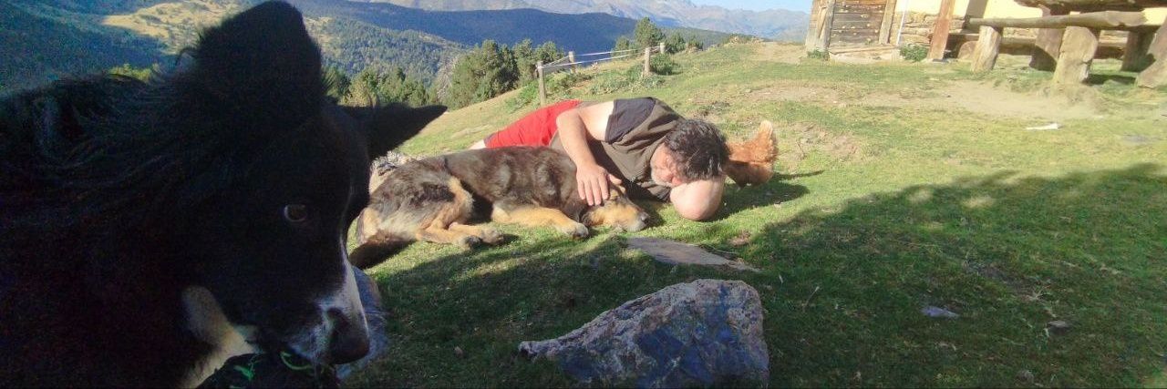 Bascu ||| Ximerliu banner