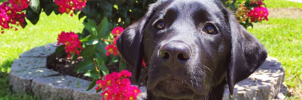 mac_kenzie101's profile banner image