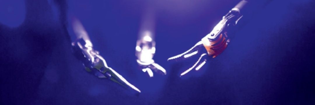 Carsten Ohlmann banner