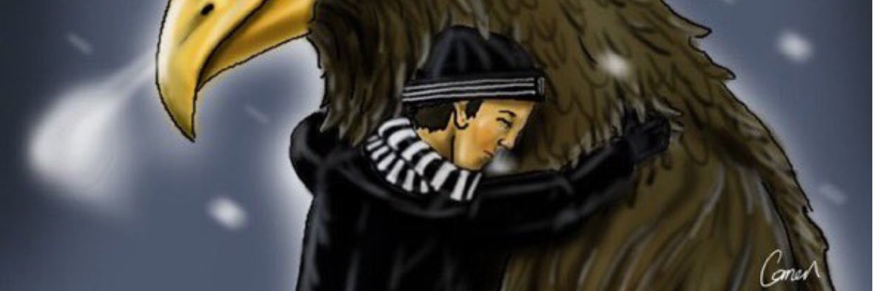elfico1983's profile banner image