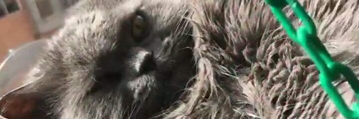 _ppzr's profile banner image