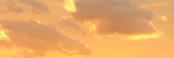 romantization Profile Banner