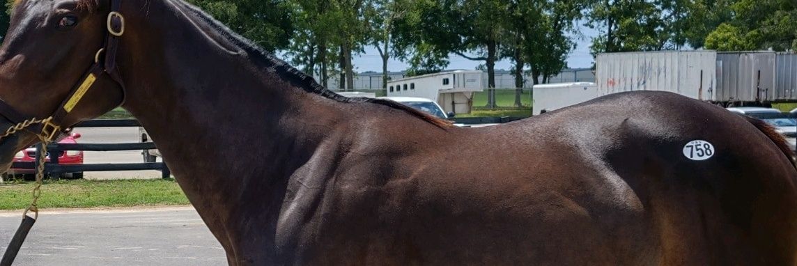mb052's profile banner image