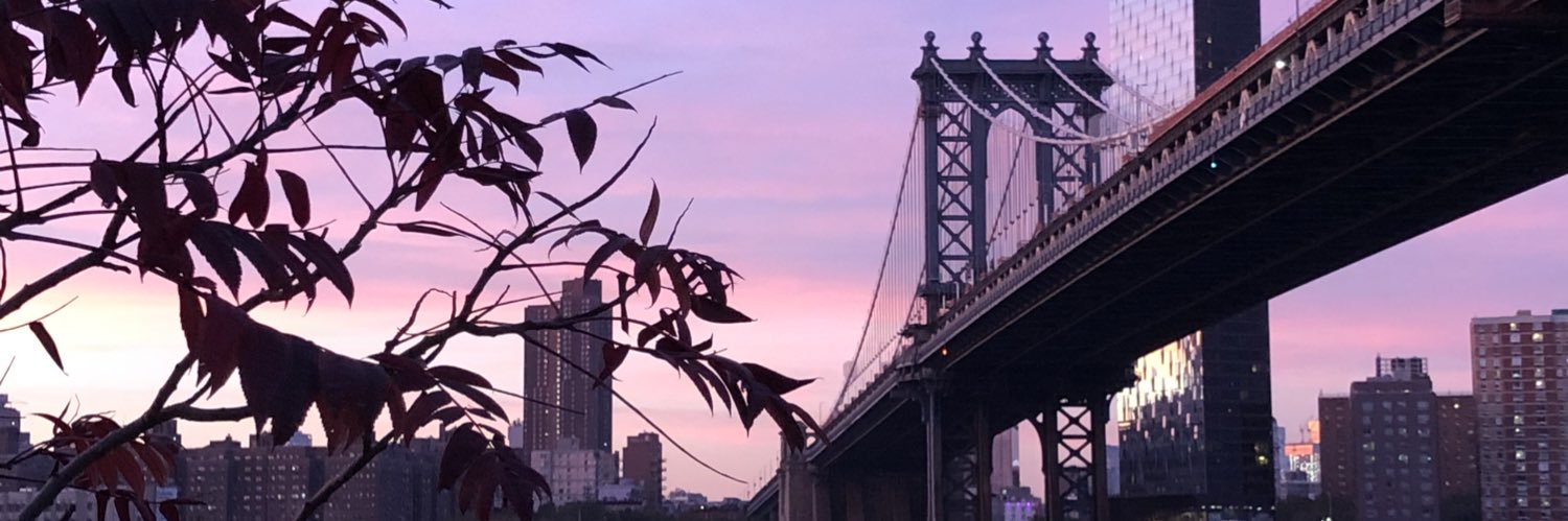 tayleppik's profile banner image