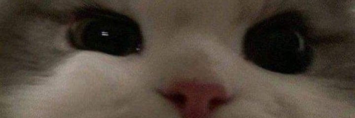 pilarmc94's profile banner image
