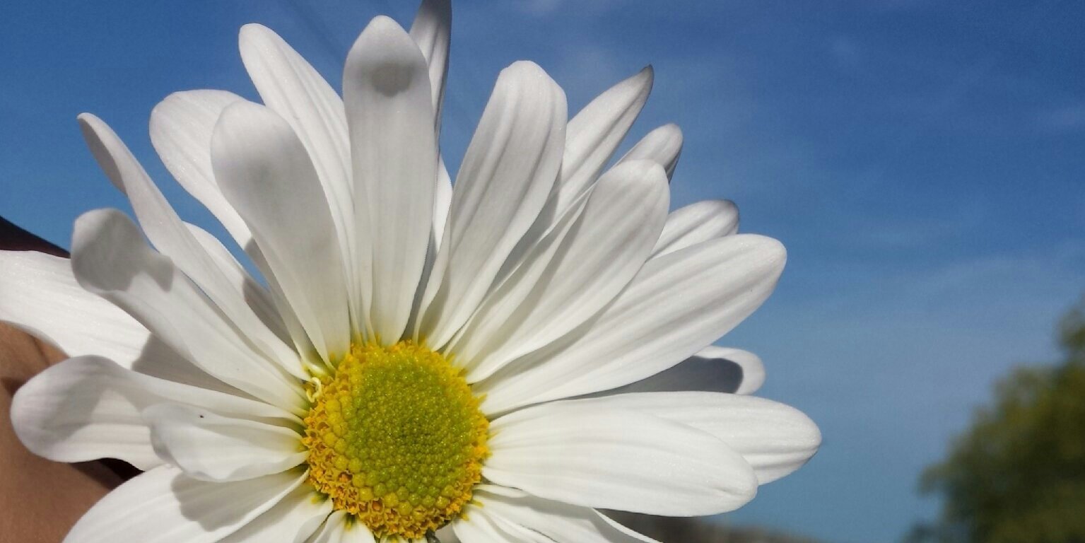 casssbarrr's profile banner image