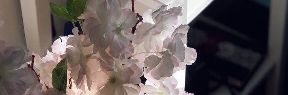 b6aH93's profile banner image