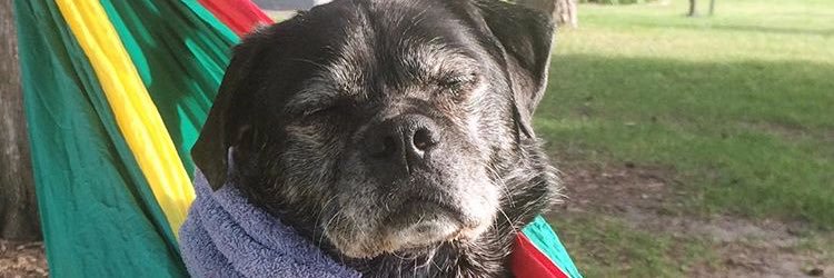 carlykoehler's profile banner image