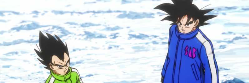 Carson Puriefoy banner