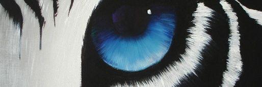 tigerfiresem's profile banner image