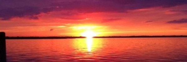 _tommybrohama Profile Banner