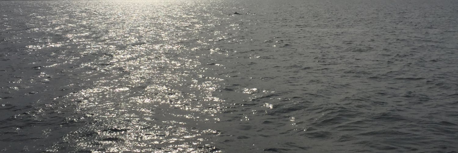 finlax's profile banner image