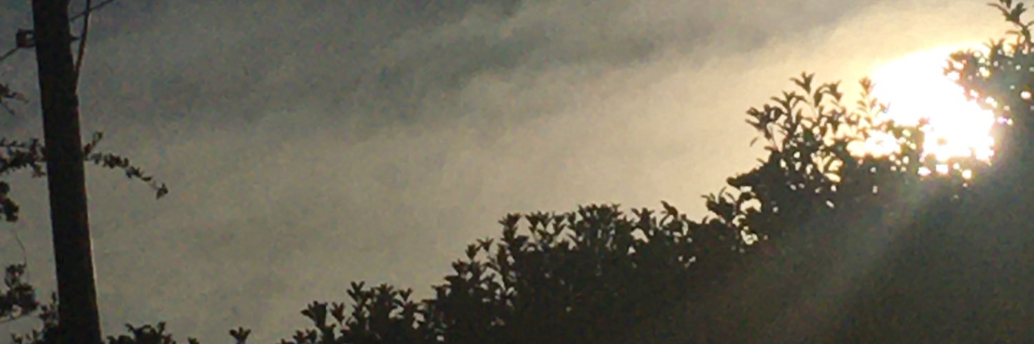 AustoLabril's profile banner image