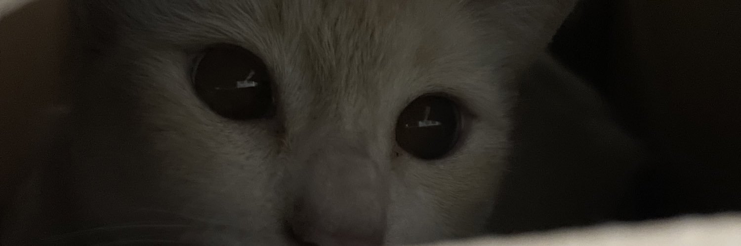 MeelyReyes's profile banner image