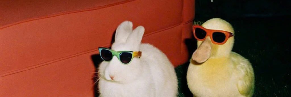 JenkyHayley's profile banner image