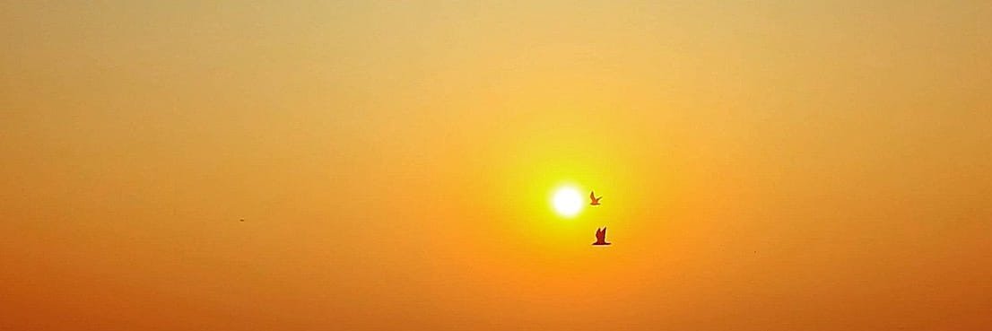 Critical Dimension banner