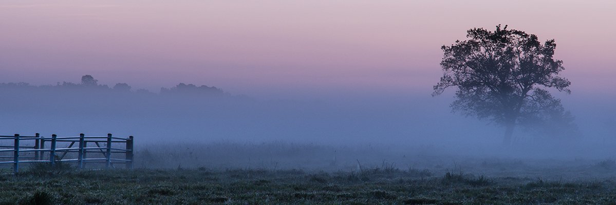 brettbodkins's profile banner image
