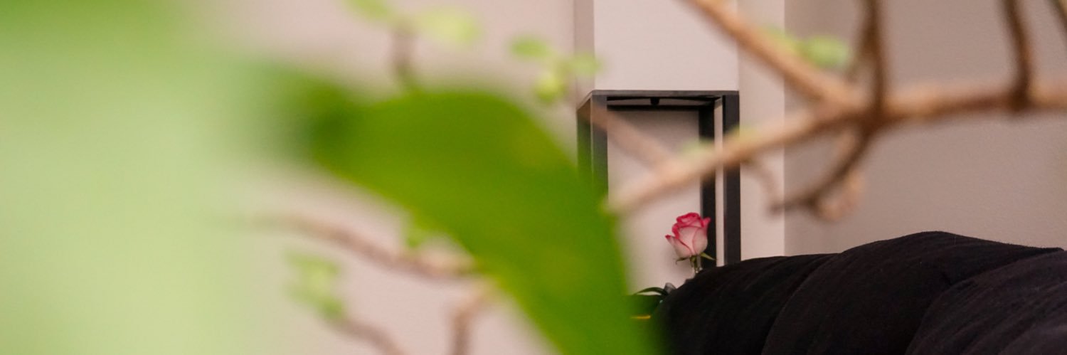 animechiky's profile banner image