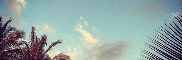 munozjorge0841's profile banner image