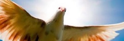 xycrypto7's profile banner image