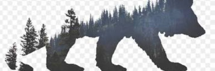 _duhenoQ's profile banner image