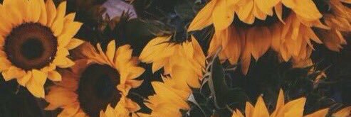 MeganCarroll6's profile banner image