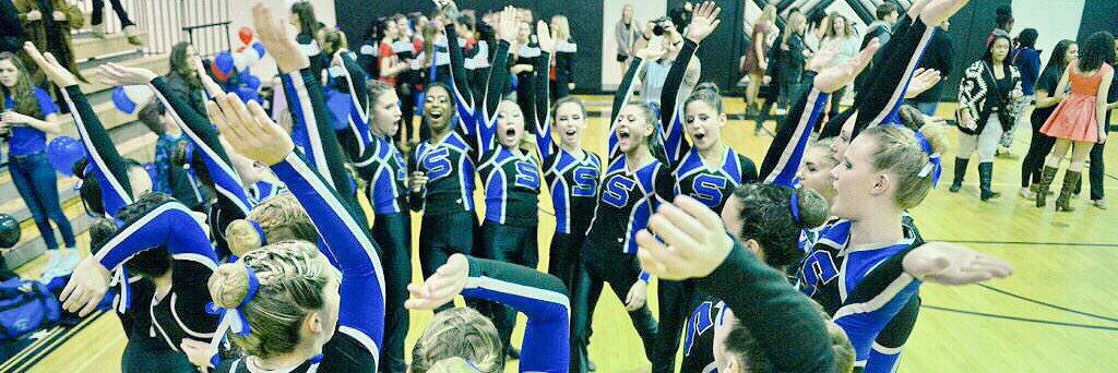 Sherwood Poms banner