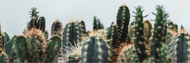 Willowadee's profile banner image