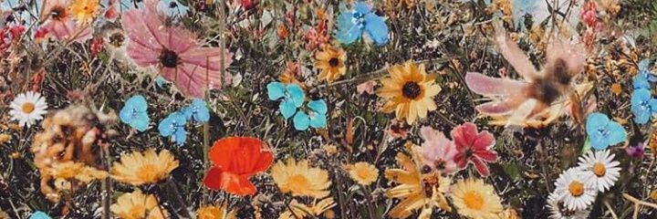 LuuFerrer_'s profile banner image