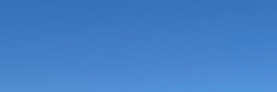 Magedalmanea's profile banner image