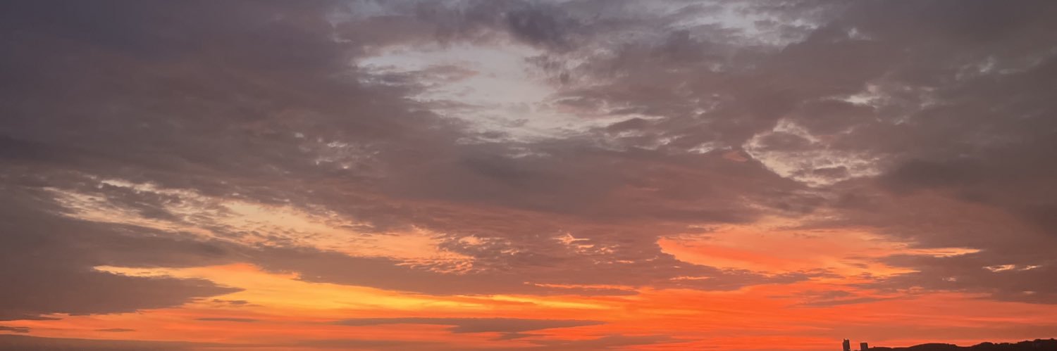 nanieb_8's profile banner image