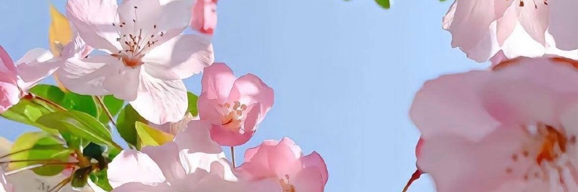 leandro71's profile banner image