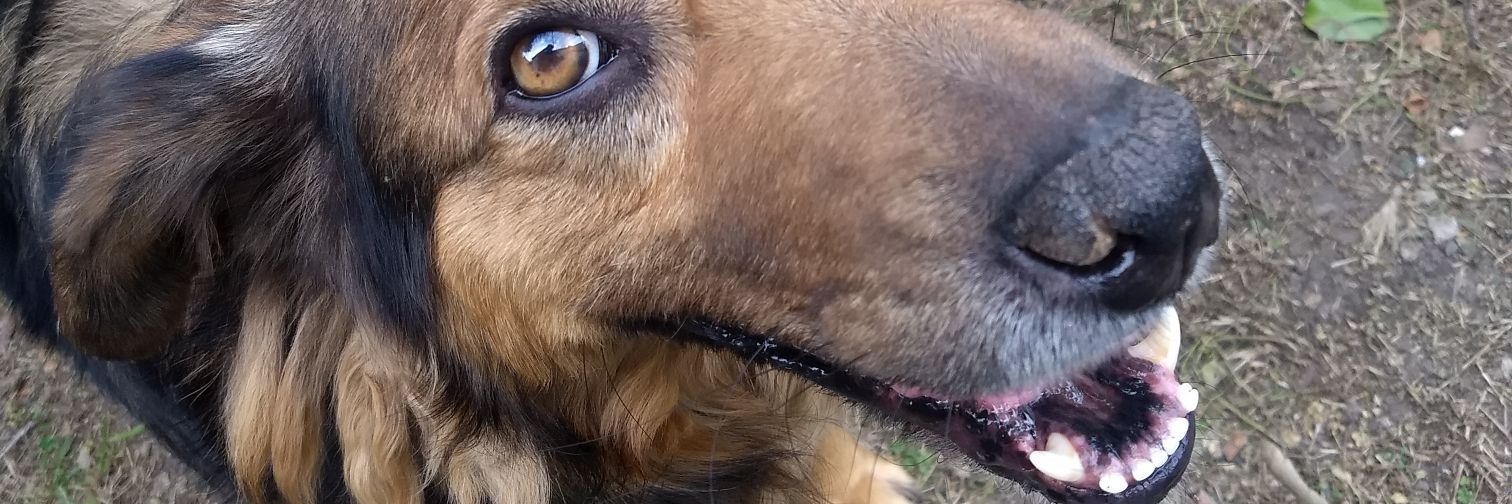 TomiQSR's profile banner image