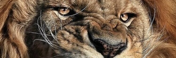 twsinger's profile banner image