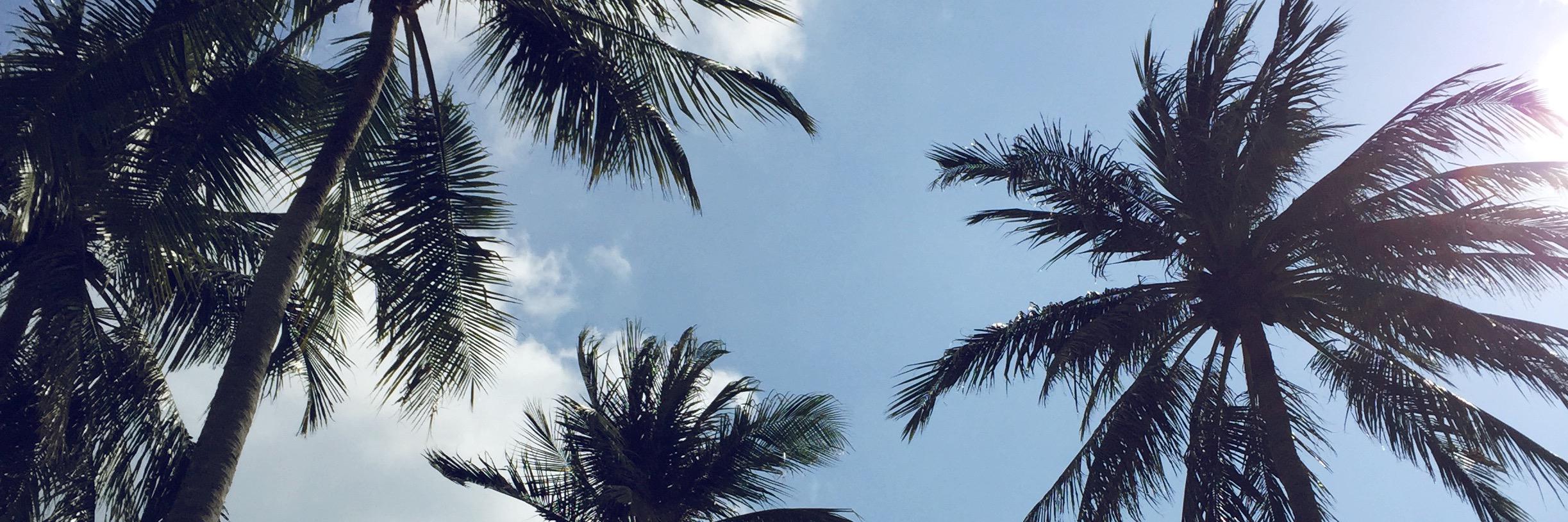 redsolediary's profile banner image