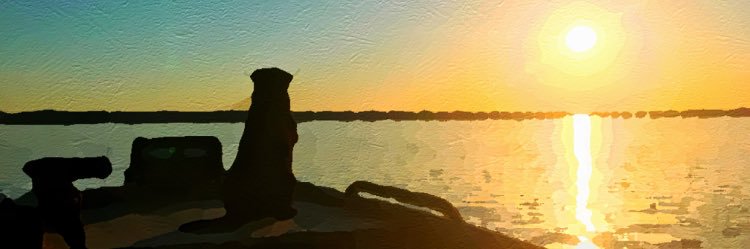 Huddy_11's profile banner image