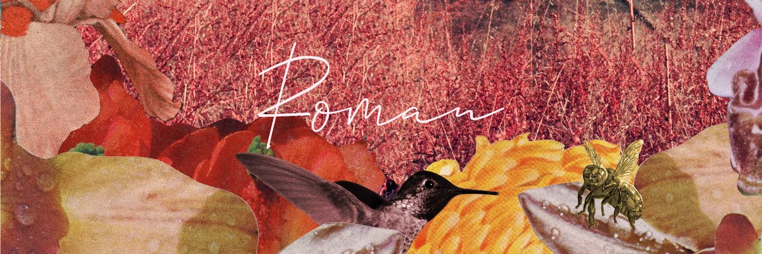 RomanGraham's profile banner image