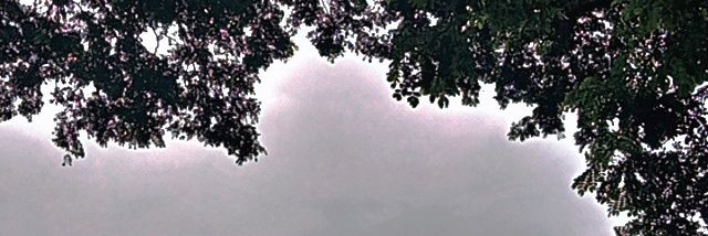 aillezah's profile banner image