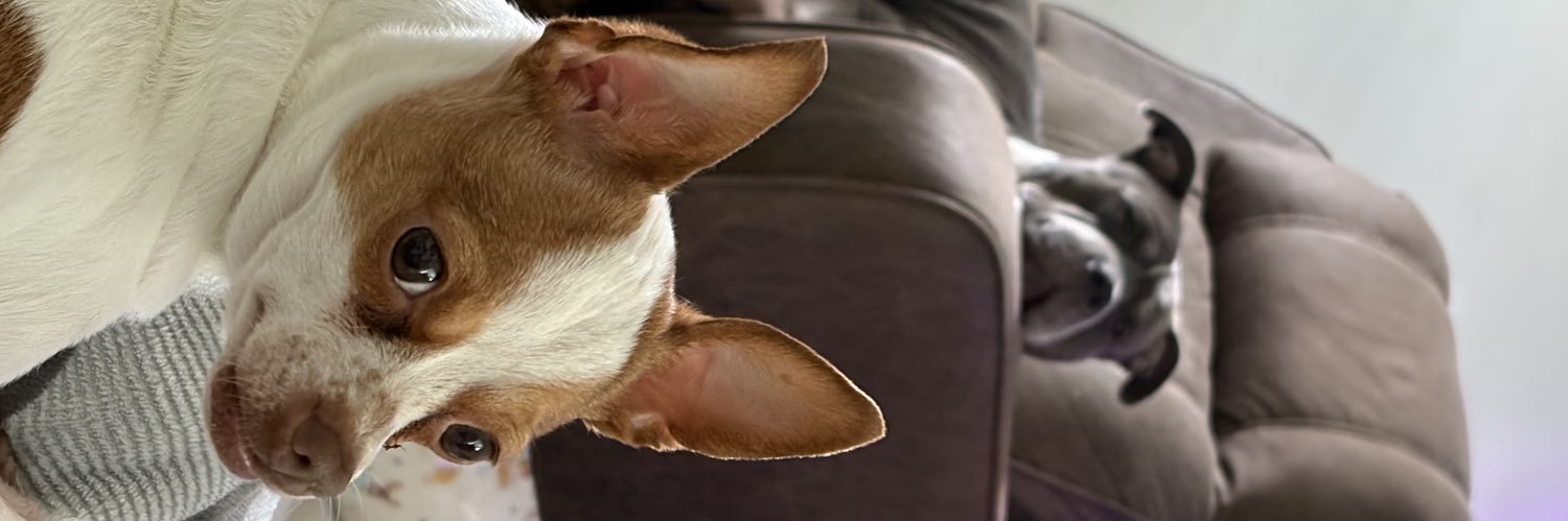 bereneez's profile banner image
