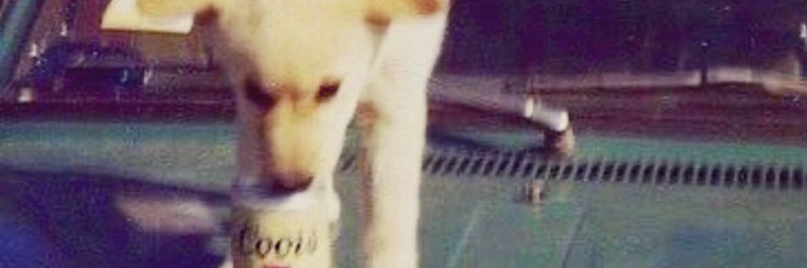 JeremyVaughn1's profile banner image